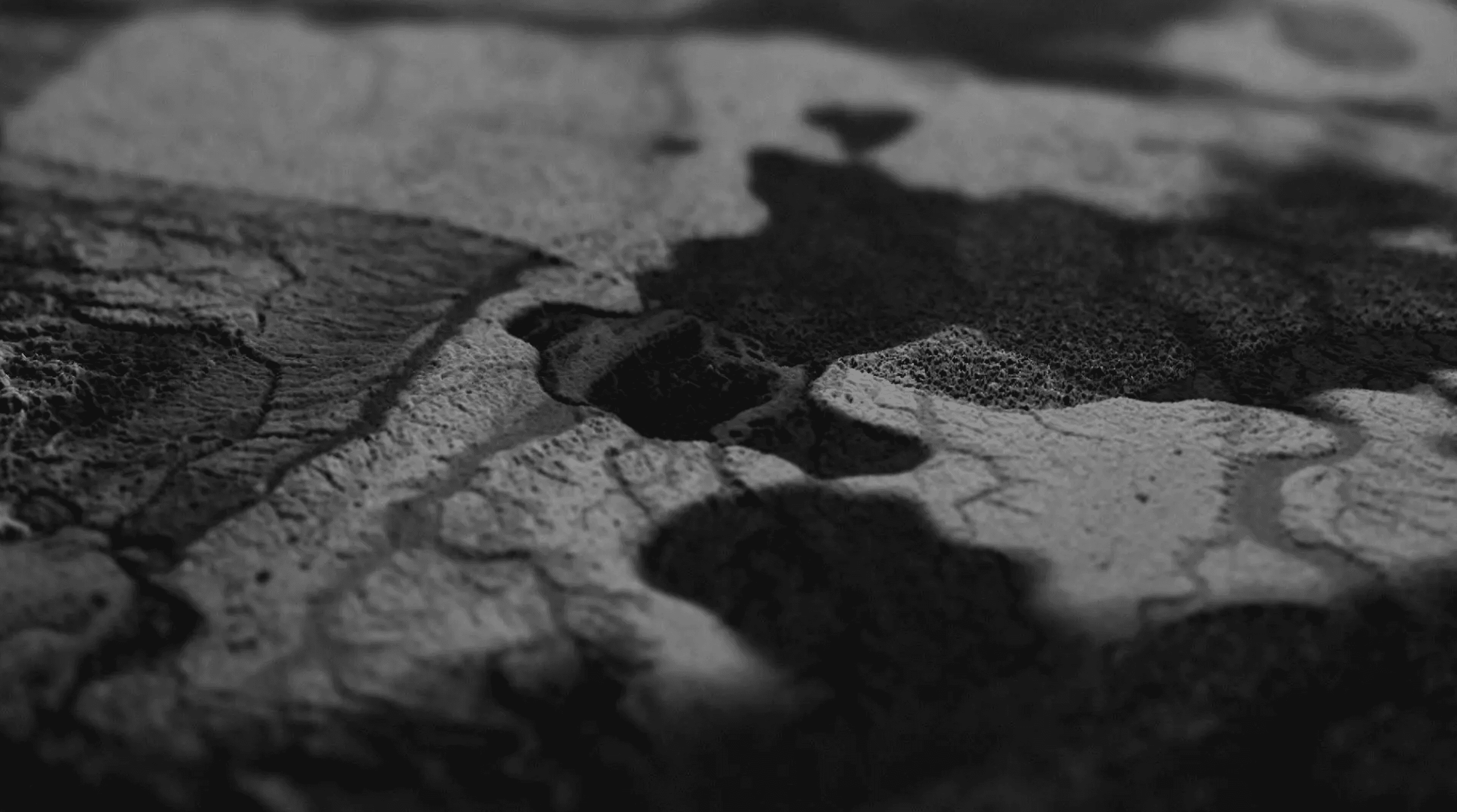 Generative music video Mikrokosmos II — Shrine for Tobias Blessing