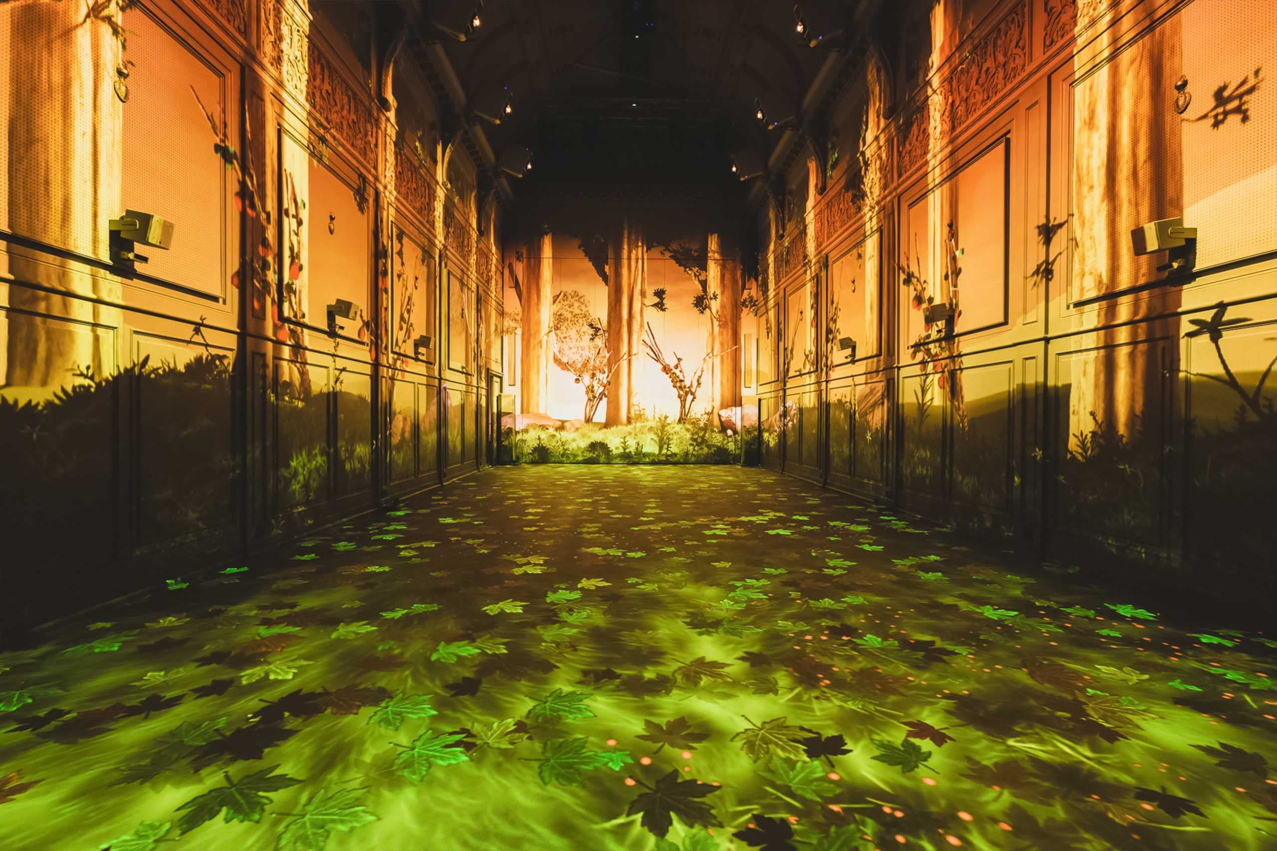 PlusPlusOne in collaboration with Dan Molnar